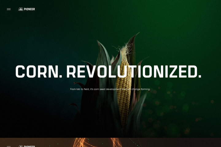 Pioneer – Corn Revolutionized website preview